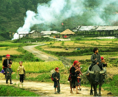 HÃ¬nh áº£nh cÃ³ liÃªn quan