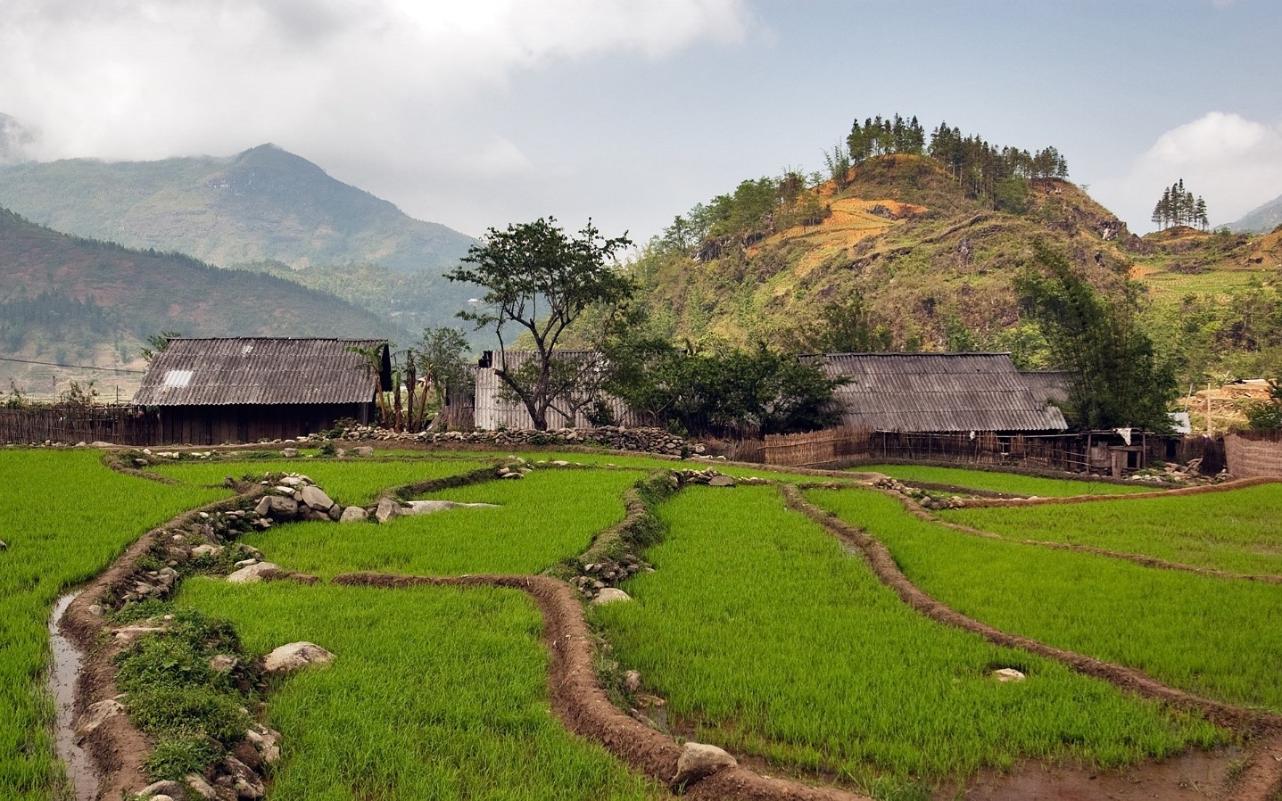 Káº¿t quáº£ hÃ¬nh áº£nh cho Ta Phin Village rice terraces