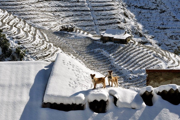 Káº¿t quáº£ hÃ¬nh áº£nh cho snow in Sapa