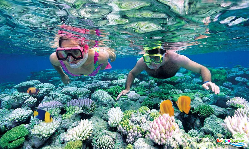 Káº¿t quáº£ hÃ¬nh áº£nh cho phu quoc tour